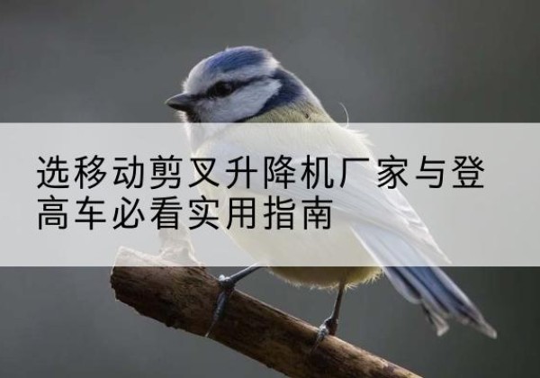 赤坎电动升降机厂家-选移动剪叉升降机厂家与登高车必看实用指南