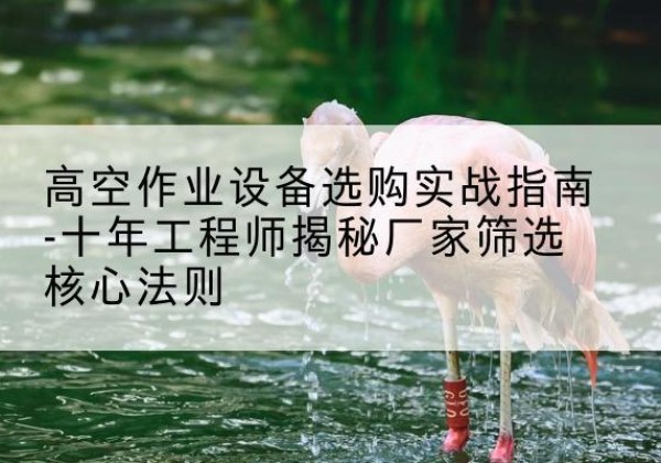 赤坎剪叉式升降机厂家-高空作业设备选购实战指南-十年工程师揭秘厂家筛选核心法则